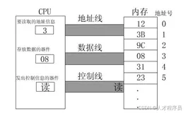【汇编】内存的读写与地址空间、寄存器及数据存储
