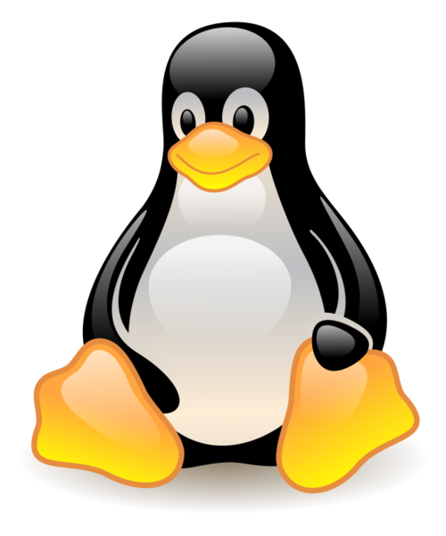 Linux磁盘管理：最佳实践
