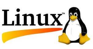 Linux小白基础环境搭建汇总