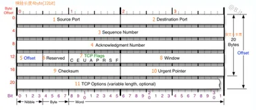 网络协议之Tcp、Http全解