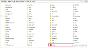 Windows环境部署Oracle19C单机，手把手教你搭建