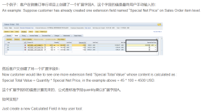 SAP Cloud for Customer的Calculated field字段