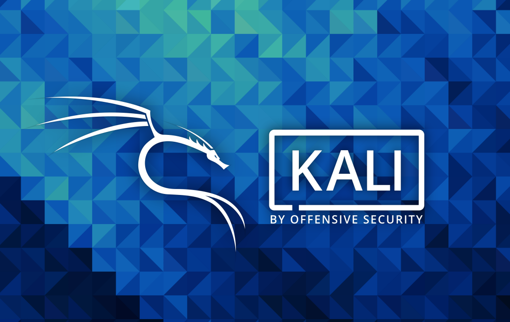 VMware虚拟机下安装Kali Linux 2021.1系统