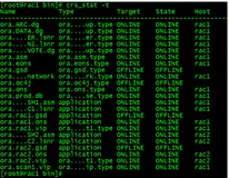 RHEL6上Oracle11gR2 grid安装后无法启动的解决