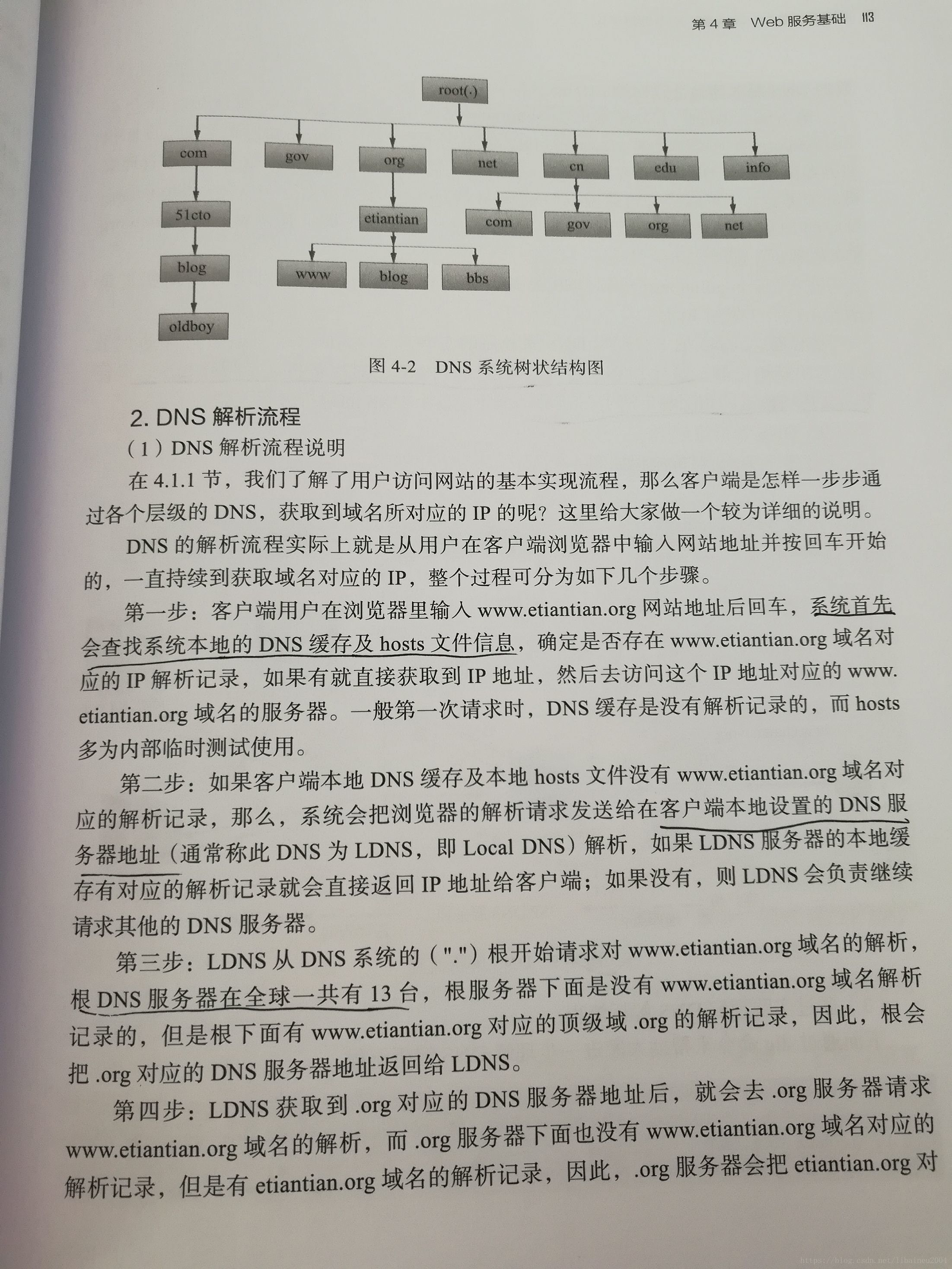 DNS解析流程