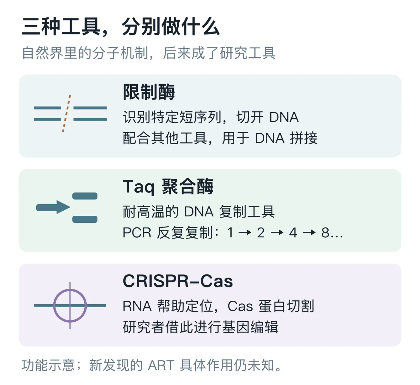 03-molecular-tools.png