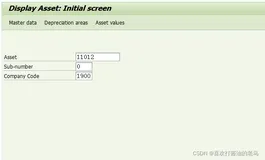 SAP FICO AS03显示固定资产主数据