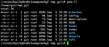 【Linux】搭建Git后使用钩子实现代码自动部署