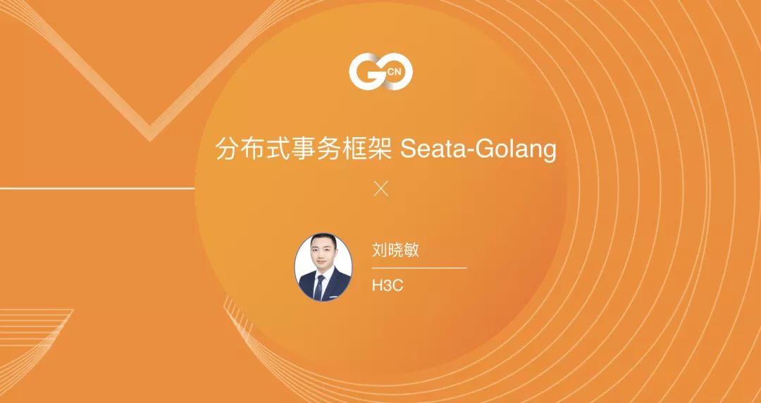 seatagolang 一周年回顾阿里云开发者社区