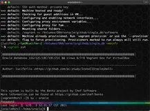 实战篇：Oracle 数据坏块的 N 种修复方式