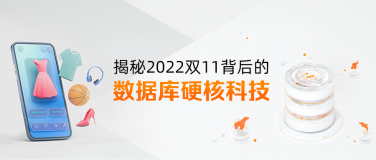 独家｜揭秘2022双11背后的数据库硬核科技