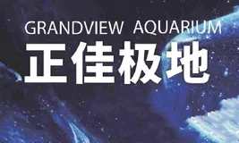 解决方案应用实例 |“业务+数据”双中台，阿里云推进正佳广场精细化运营