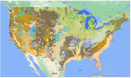 Google Earth Engine（GEE）——美国本土岩性数据集