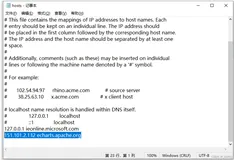 ECharts 网站访问慢解决办法（Window系统）
