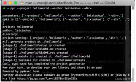 【python种子项目ppc】一行代码生成项目与开发详细指导
