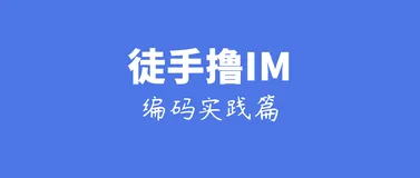 基于Netty，从零开发IM(二)：编码实践篇（im单聊功能）