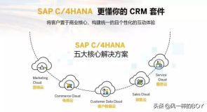 SAP C/4HANA五朵云