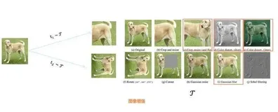 对比学习（Contrastive Learning）在CV与NLP领域中的研究进展(一）