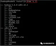 测试理论--zookeeper相关