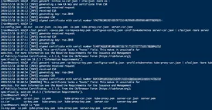 搭建一个完整的Kubernetes集群--自签APIServer SSL证书+master1配置