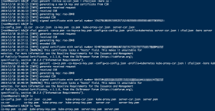 搭建一个完整的Kubernetes集群--自签APIServer SSL证书+master1配置