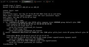 记一次非常"吊诡"的生产服务器SSH无法访问故障处理过程