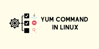 linux yum 软件包管理