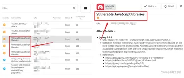Javascript框架库漏洞验证