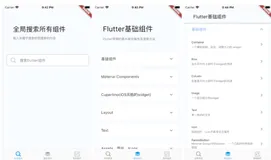 源码分享-一个帮助flutter开发者快速上手的app