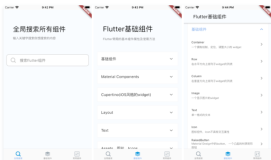 源码分享-一个帮助flutter开发者快速上手的app