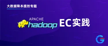 Hadoop3.0时代，怎么能不懂EC纠删码技术？个推为你解读