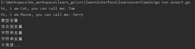 Go-动态类型与类型断言详解（含type-switch及全部代码）
