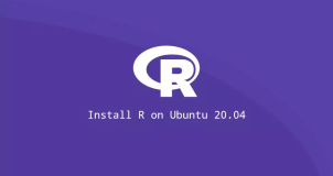 如何在 Ubuntu 20.04 上安装 R