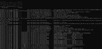 WGCLOUD日常使用 - windows启动server，dos窗口显示乱码的问题处理