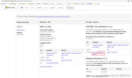 IIS 部署.NetCore