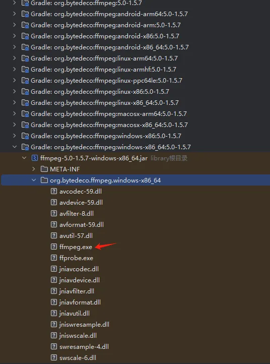 自包含ffmpeg.png
