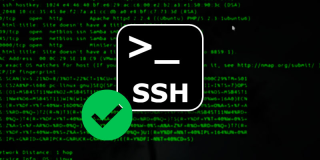 公网使用SSH远程连接安卓手机Termux - Android手机服务器---内网穿透