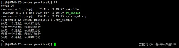 [Linux打怪升级之路]-信号的产生