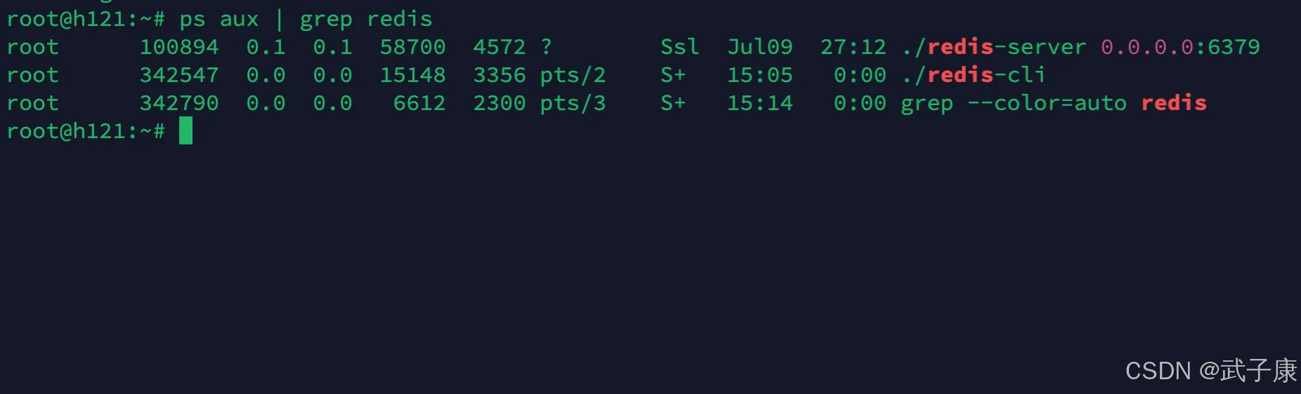 大数据116 Flink DataStream Sink 原理、概念、常见Sink类型 配置与使用 附带案例1：消费Kafka写到