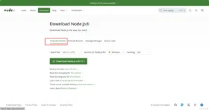 nodejs安装和环境配置-Windows（2024）