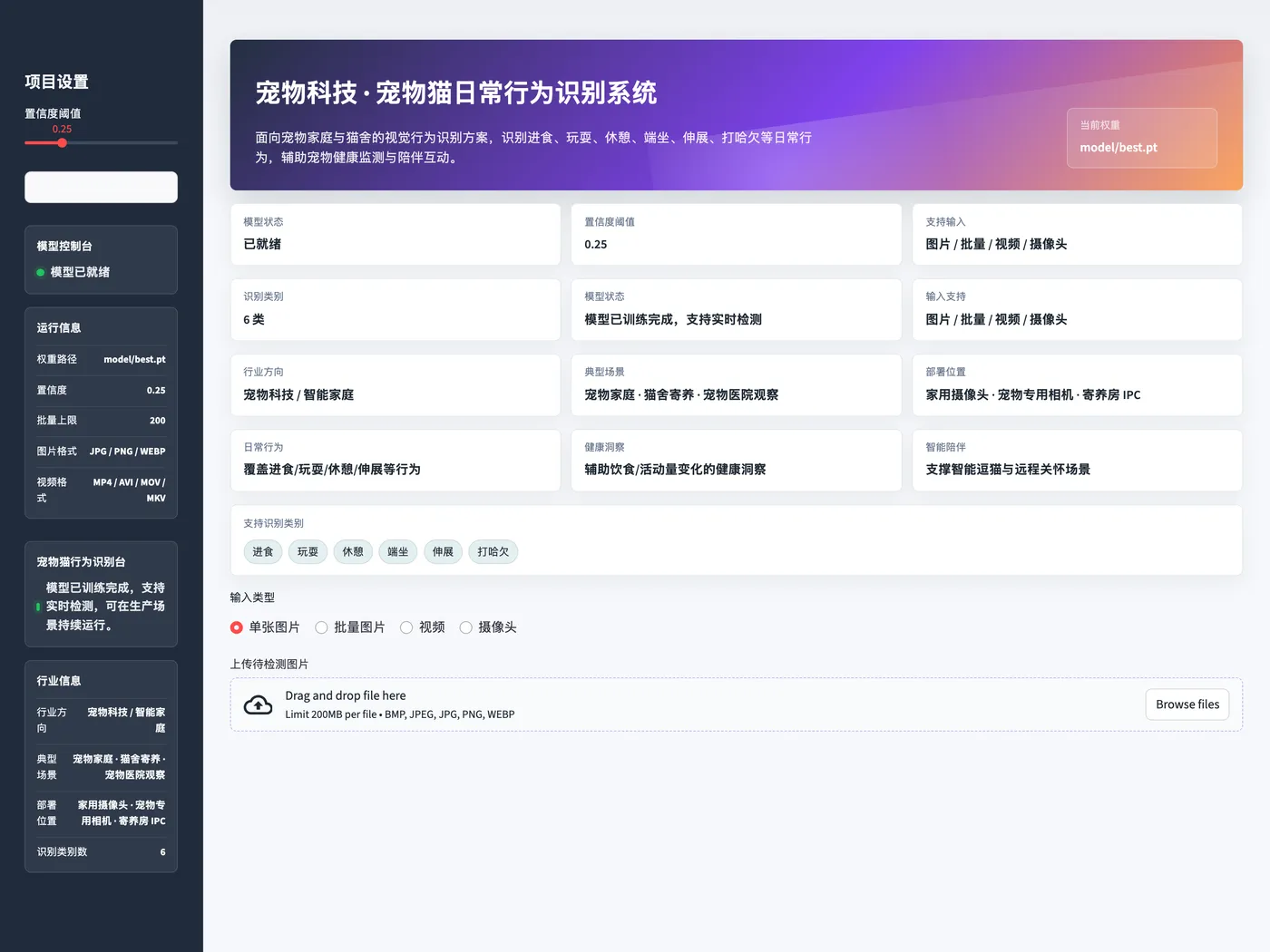 Web 界面总览
