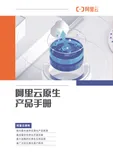 《云原生应用平台产品手册》电子版下载地址