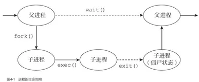 Linux 的僵尸(zombie)进程