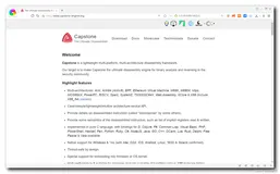 【Android 逆向】使用 Python 解析 ELF 文件 ( Capstone 反汇编框架 | PyCharm 中导入 Capstone 反汇编框架 )