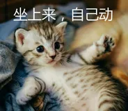 拥有一台服务器是一件很酷的事情