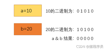 (JavaSE)数据类型变量与运算符（下）