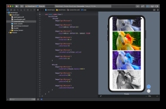 SwiftUI—使用图像视图强大的色彩调整功能