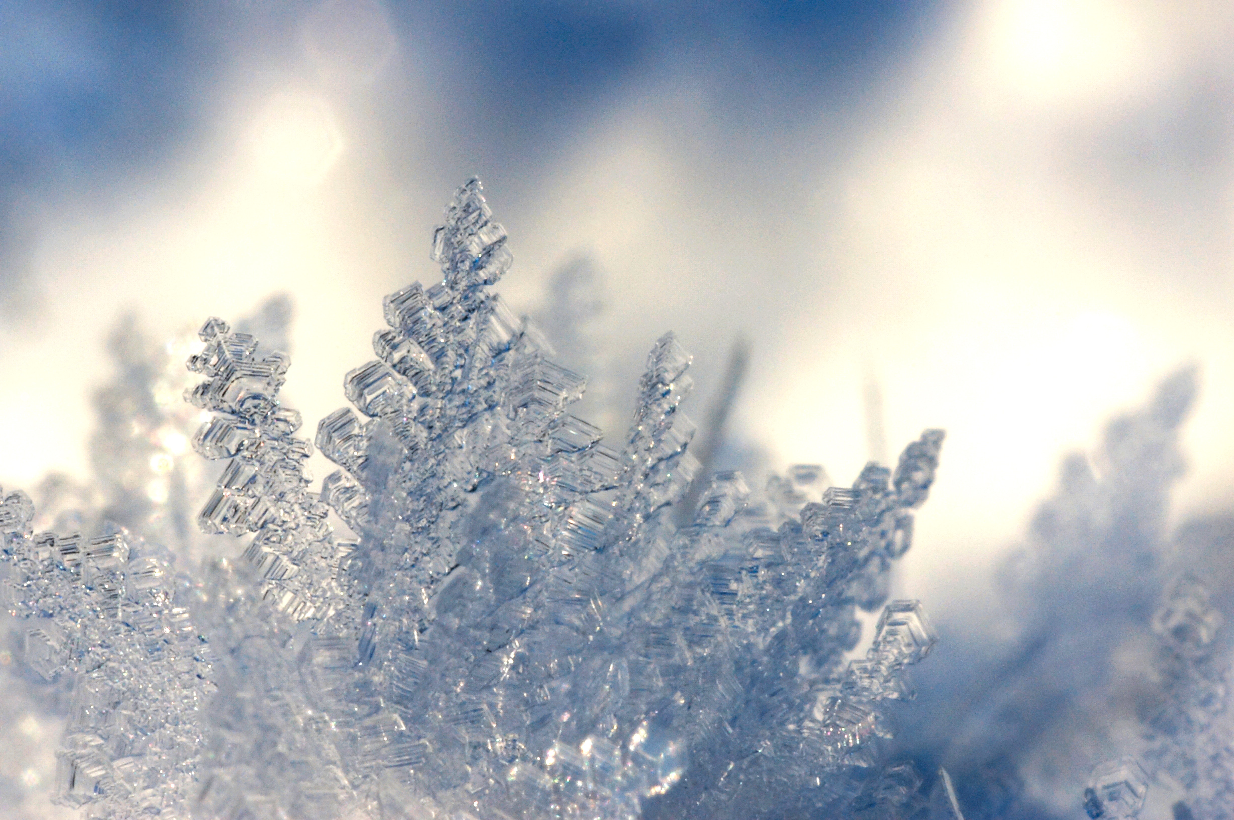 depth-of-field-photography-of-ice-shards-1130692.jpg