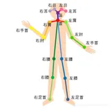 Python+OpenCV+OpenPose实现人体姿态估计（人体关键点检测）