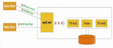 Redis 的高并发实战:抢购系统 | 学习笔记
